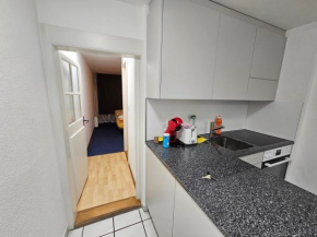 Real Swiss Classic Apartment & Up to 7 Seats Cars Rental Option